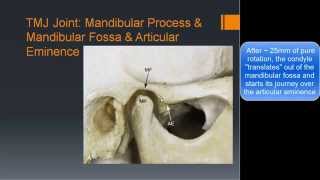 TMJ Basic Anatomy amp Biomechanics [upl. by Atina748]