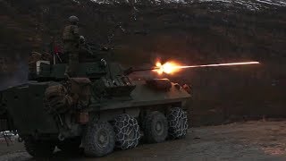 US Marines LAV25 M242 Bushmaster 25mm Tracer Live Fire [upl. by Tennek258]