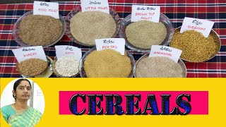 CEREALS [upl. by Mencher646]