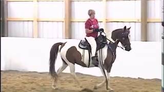 Locking Stifle Syndrome in the Gaited Horse [upl. by Tjader774]