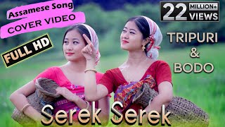 Assamese Dance Cover  Tripuri amp Bodo  Performance byHana amp Manorama FHD 2020 [upl. by Ainitsirhc434]