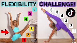 FLEXIBILITY TIK TOK CHALLENGE TWIN VS TWIN [upl. by Blondelle]