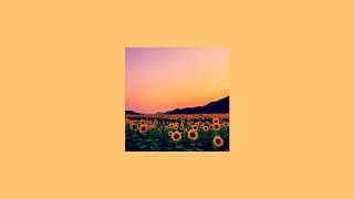 Rex Orange County  Sunflower  slowed [upl. by Willdon]