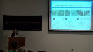 Gold Nanoparticles In On and Around Cells [upl. by Verne]