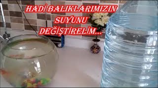 BALIKLARIN SUYU NASIL DEĞİŞTİRİLİR TÜM AYRINTILARI İLE İZLE [upl. by Sauder401]