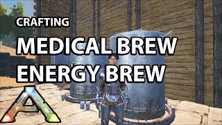 Energy Medical Brew Ark Survival [upl. by Eerized]