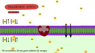 Transporte Ativo e Passivo [upl. by Sanfo]