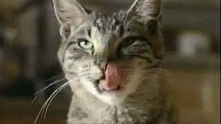 Whiskas Cat Food 1997 Television Commercial [upl. by Alexandro577]