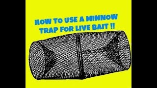 Minnow Trap for Live Bait [upl. by Repip]