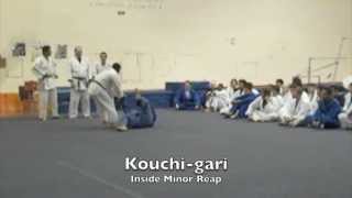 15 BASIC JUDO THROWS  LA VALLEY COLLEGE [upl. by Annoit]