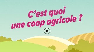 Cest quoi une coopérative agricole [upl. by Ainsworth]