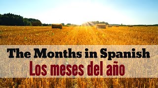 Months of the Year in Spanish  Los Meses del Año en Español [upl. by Meaghan]