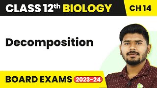 Class 12 Biology Chapter 14  Decomposition  Ecosystem 202223 [upl. by Bonar]