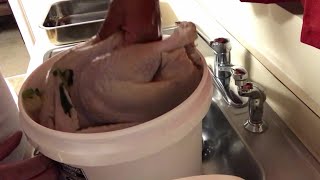 How To Brine and Defrost a Turkey in 2 Days [upl. by Annovad358]