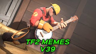 TF2 MEMES V39 [upl. by Kleeman]