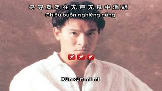 KARAOKE song ngữ TÌNH NHẠT PHAI  來生緣  Lưu Đức Hoa [upl. by Anglo822]