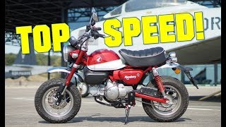 Honda Monkey 125 TOP SPEED [upl. by Sherrill]