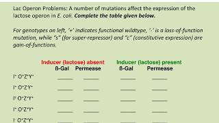 BIOL183 Solving Lac operon problems [upl. by Zitella]