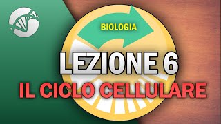 BIOLOGIA  Lezione 6  Il Ciclo Cellulare [upl. by Loralee]