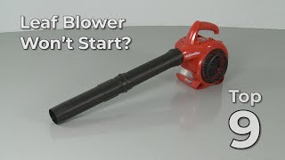 Top Reasons Leaf Blower Wont Start — Leaf Blower Troubleshooting [upl. by Nyrad214]