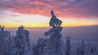 Finlandia Hymni  Kittilä  Levi  Suomi 100v Itsenäisyyspäivä [upl. by Sukram]