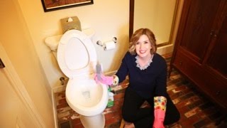 How to Deep Clean Your Toilet and Remove Mineral Deposits  Dont Look Under The Rug® with Amy Bates [upl. by Noivert]