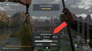 TUTO Fishing Planet Comment pêcher le brochet maillé Unique et trophé au lac Émeraude [upl. by Orban]