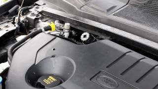 How to Refill the AdBlue on a Land Rover Discovery [upl. by Tu]