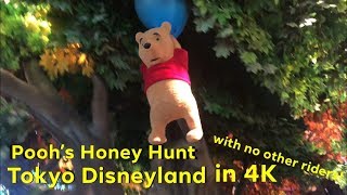 Pooh’s Honey Hunt in 4K Tokyo Disneyland with no other riders [upl. by Giarc621]