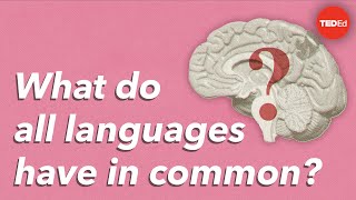 What do all languages have in common  Cameron Morin [upl. by Tennek]