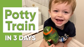 Three Day Potty Training Method [upl. by Akemehc]