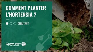 TUTO Comment planter l’hortensia  – Jardinerie Gamm vert [upl. by Ahsitneuq27]