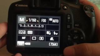 How To Connect Your Canon EOS Rebel T61300D To Your Computer [upl. by Esinel]