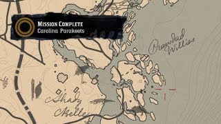 Carolina Parakeet Locations RDR2 Mission Guide [upl. by Nottirb774]