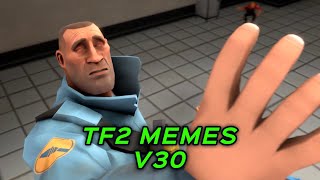 TF2 MEMES V30 [upl. by Firooc]