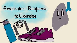 Respiratory Response To Exercise  Respiratory Physiology [upl. by Knarf]