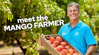 Meet the mango farmer  Fresh stories from farm [upl. by Siderf730]