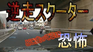 交通マナーバイク編「逆走するスクーター」 [upl. by Yared]