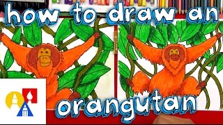 How To Draw An Orangutan [upl. by Nahs]