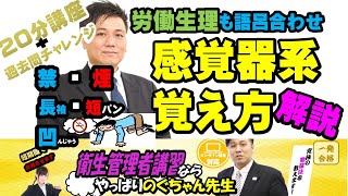 27 衛生管理者【のぐちゃん先生】感覚器系の覚え方！労働生理も語呂合わせで覚える！20分講習過去問チャレンジ！ [upl. by Daphne]