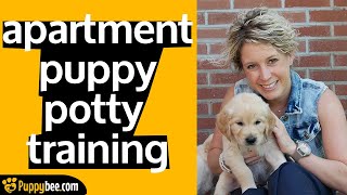 Potty Training a Puppy in an Apartment Tips from 24 Dog Trainers [upl. by Saduj]