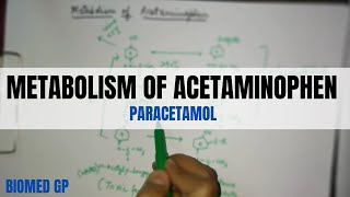 Metabolism of Acetaminophen paracetamol [upl. by Brandy]