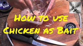 How to use Chicken as bait  The Hook and The Cook [upl. by Clementius]