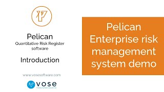 Pelican Enterprise risk management system demo [upl. by Olwena699]