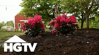 All About Azaleas  Gardening Tips  HGTV [upl. by Adnorahc878]