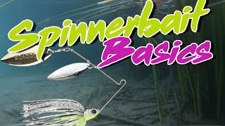 Bass Fishing Basics How To Fish A Spinnerbait [upl. by Salvadore]