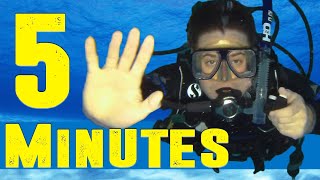 PADI Open Water How to Scuba Dive in 5 Minutes [upl. by Oralia]