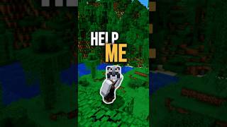 I NEED YOUR HELP Minecraft minecraftshorts [upl. by Ettenyar]