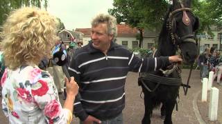 Paardenmarkt Rijnsburg 2013 [upl. by Dlaregztif]