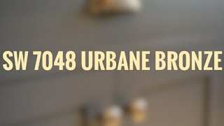 Urbane Bronze Sherwin Williams  COLOR OF THE YEAR 2021 [upl. by Kilby981]